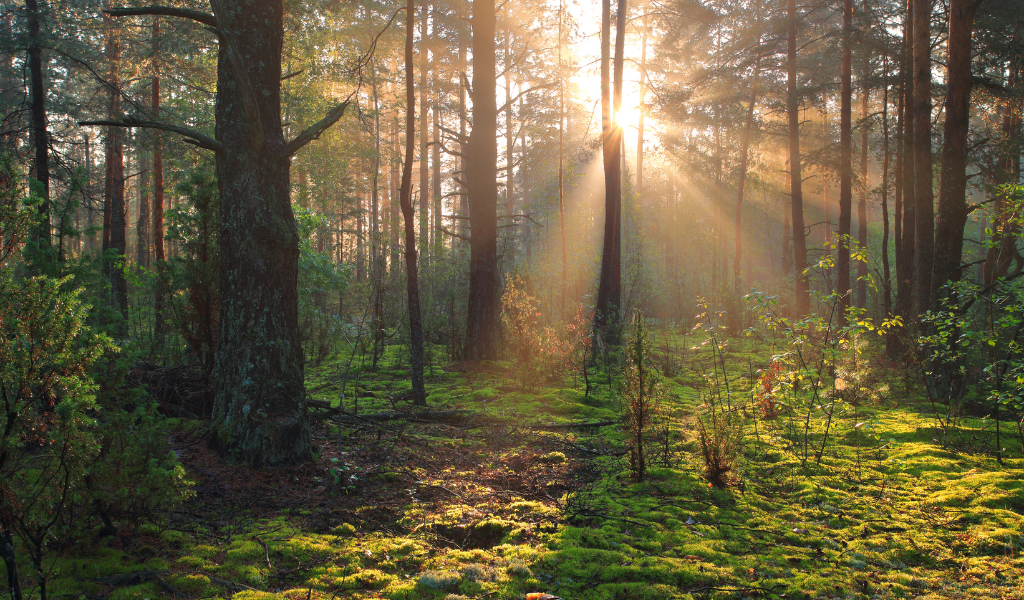 Untitled design (47)